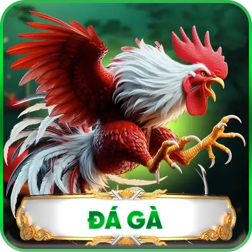 đá gà